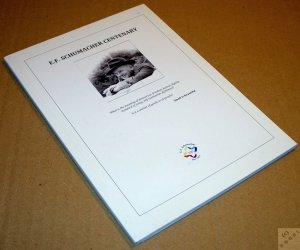 gebrauchtes Buch – E.F. Schumacher Centenary