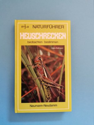 Heuschrecken        beobachten- bestimmen