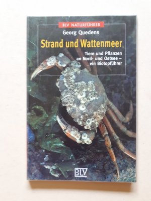 Strand und Wattenmeer - Tiere und Pflanzen an Nord- und Ostsee - ein Biotopführer