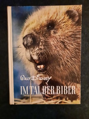 antiquarisches Buch – Walt Disney – Im Tal der Biber