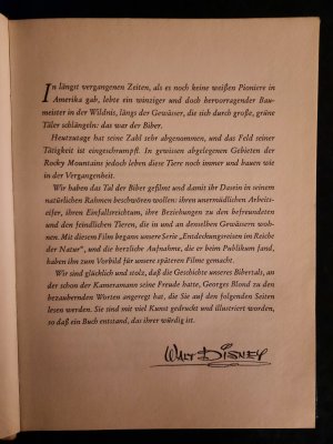 antiquarisches Buch – Walt Disney – Im Tal der Biber