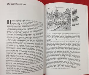 gebrauchtes Buch – Ellen Breindl – Das große Gesundheitsbuch der Hl. Hildegard von Bingen - Illustriert