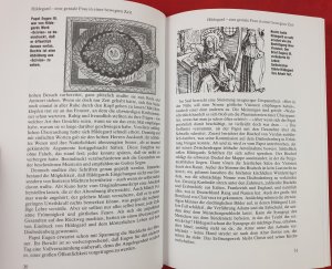 gebrauchtes Buch – Ellen Breindl – Das große Gesundheitsbuch der Hl. Hildegard von Bingen - Illustriert