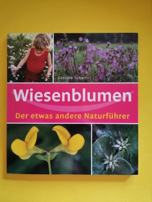 gebrauchtes Buch – Gertrud Scherf – Wiesenblumen    -    Der etwas andere Naturführer