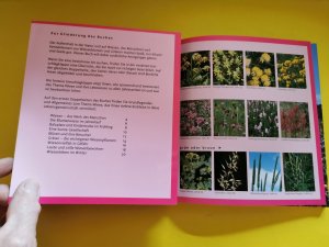 gebrauchtes Buch – Gertrud Scherf – Wiesenblumen    -    Der etwas andere Naturführer