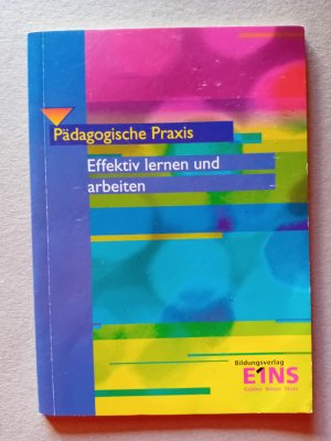 gebrauchtes Buch – Pudzich, Volker; Stahlmann – Effektiv lernen und arbeiten