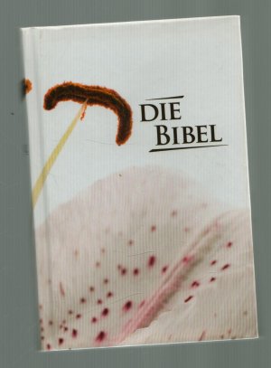 gebrauchtes Buch – Christliche Schriftenverbreitung, e – Die Bibel / Pocketausgabe