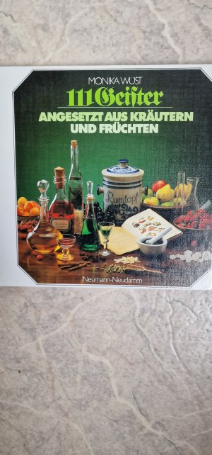 gebrauchtes Buch – Monika Wüst – 111 Geister