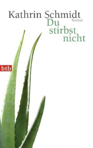 gebrauchtes Buch – Kathrin Schmidt – Du stirbst nicht