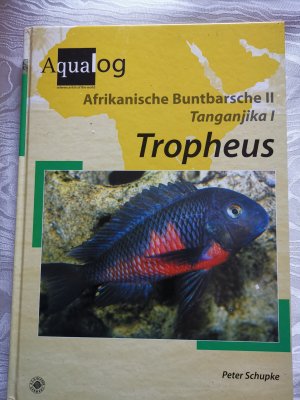 Tropheus Afrikanische Buntbarsche 2 Tanganjika 1