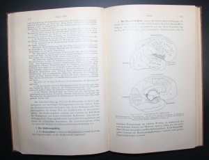 antiquarisches Buch – Schenck und Gürber – Leitfaden der Physiologie des Menschen für Studierende der Medizin und der Zahnheilkunde.