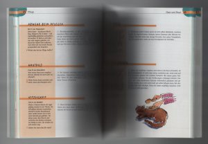gebrauchtes Buch – Rolf Spangenberg – Aus Dr. Spangenbergs Tiersprechstunde/Fragen und Antworten rund um die Katze
