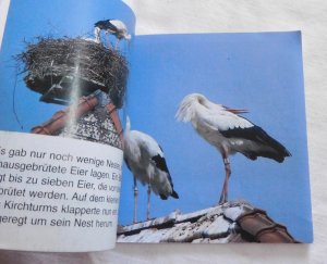 gebrauchtes Buch – Unser Storch Rudi - Pixi Serie 82 Nr. 668