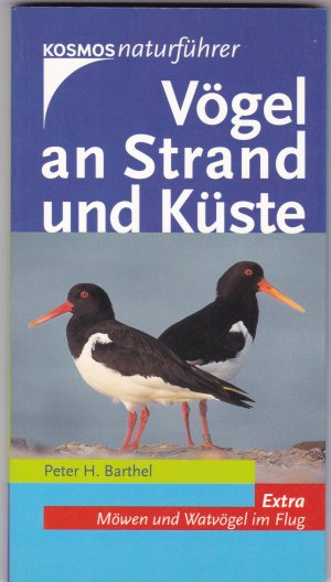 Vögel an Strand und Küste