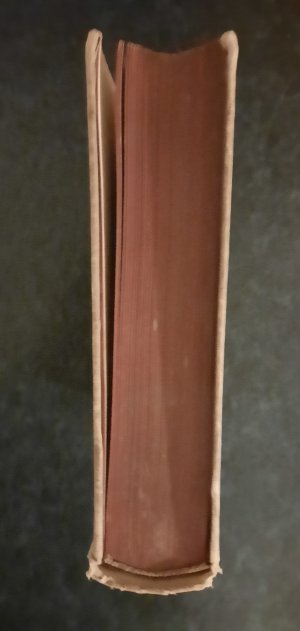 antiquarisches Buch – Richard Schmidt – Liebe und Ehe im alten und modernen Indien (Vorder-, Hinter und Niederländisch-Indien).