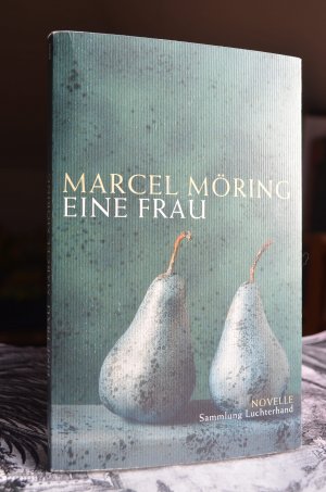 gebrauchtes Buch – Marcel Möring – Eine Frau. Novelle. Sammlung Luchterhand