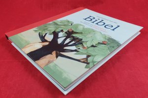 gebrauchtes Buch – Heinz Janisch – Geschichten aus der Bibel