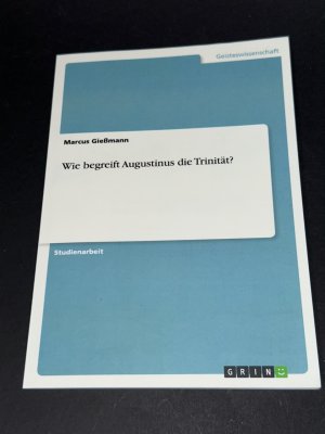 Wie begreift Augustinus die Trinität?