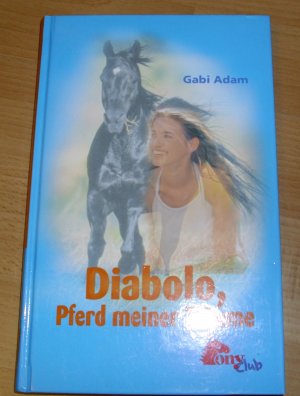 gebrauchtes Buch – Gabi Adam – Diabolo