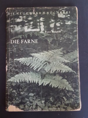 Die Farne