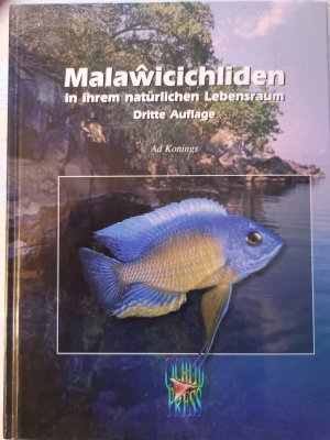 Malawicichliden in ihrem natürlichen Lebensraum