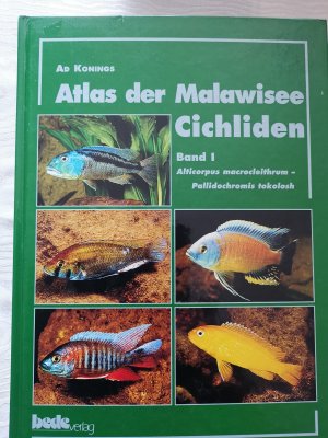 Atlas der Malawiseecichliden Band 1