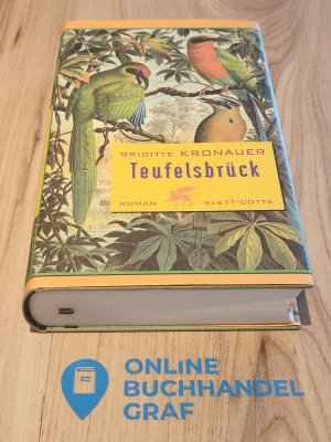 gebrauchtes Buch – Brigitte Kronauer – Teufelsbrück