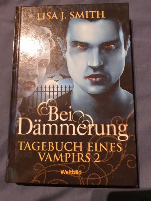 gebrauchtes Buch – Bei Dämmerung Tagebuch eines Vampirs