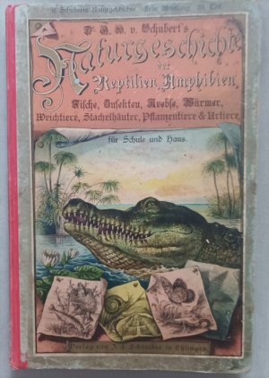 Schubert's Naturgeschichte der Reptilien, Amphibien, Fische, Insekten, Krebse, Würmer, Weichtiere, Stachelhäuter, Pflanzentiere und Urtiere. Für Schule […]