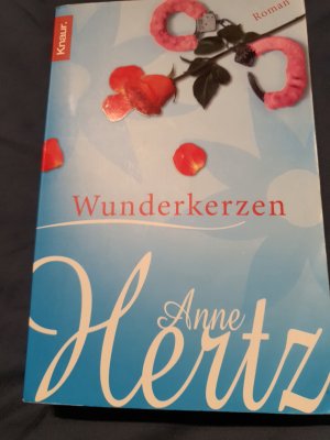 gebrauchtes Buch – Anne Hertz – Wunderkerzen