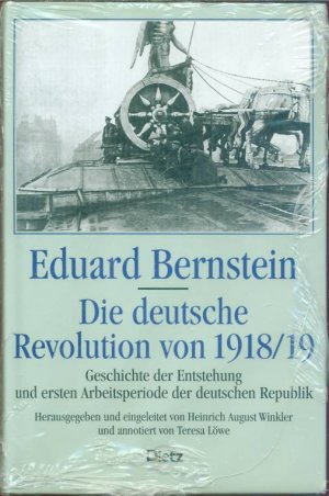 Die deutsche Revolution 1918/19 - Geschichte der Entstehung und ersten Arbeitsperiode der deutschen Republik