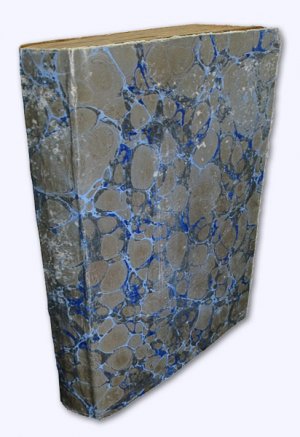 Praktischer Unterricht über den thierischen Magnetismus. Aus dem Französischen von F. X. Schumacher. 2. Aufl.