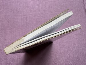 gebrauchtes Buch – Berner, Hans; Isler – Lehrer-Identität, Lehrer-Rolle, Lehrer-Handeln