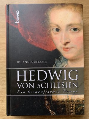 gebrauchtes Buch – Johannes Derksen – Hedwig von Schlesien  -  ein biografischer Roman