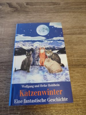 gebrauchtes Buch – Hohlbein, Wolfgang; Hohlbein – Katzenwinter