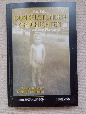 Dunkelstunden-Geschichten oder Der Po auf dem Plumpsklo. Geschichten einer Kindheit in Schlesien