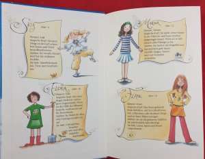 gebrauchtes Buch – Sheridan Winn – Vier zauberhafte Schwestern und die große Versöhnung