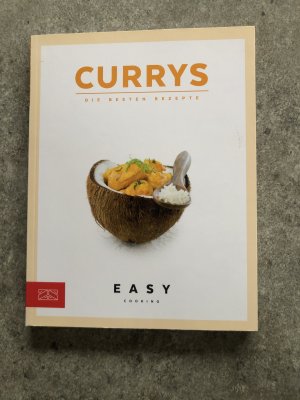 gebrauchtes Buch – ZS-Team – Currys