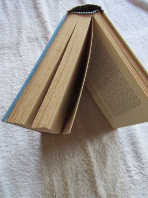 antiquarisches Buch – Birkner Friede – Das widerspenstige Käthchen