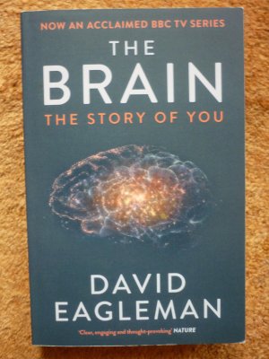 gebrauchtes Buch – David Eagleman – Brain