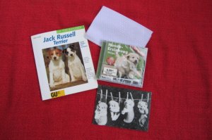 gebrauchtes Buch – Jack Russell Terrier + CD HUNDEERZIEHUNG WELPE