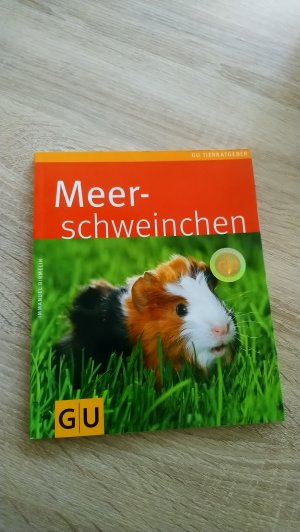 Meerschweinchen