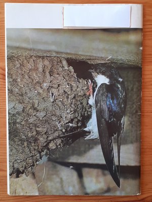 gebrauchtes Buch – Der  Falke, Heft 7 /1985, Jahrgang 32