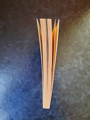 gebrauchtes Buch – Jeany Steiger – Flitterwochen in der Hölle. Romantic Thriller.