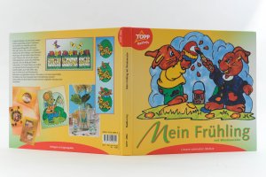 gebrauchtes Buch – Sabine Fischer, Monika Gänsler – Mein Frühling mit Windowcolor. Unsere schönsten Motive