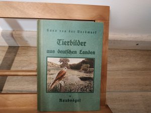 TIERBILDER AUS DEUTSCHEN LANDEN - * III/IV - Raubvögel * - ## 1930 - Frakturschtrift # GEPFLEGTES EXEMPLAR # ABSOLUTE RARITÄT ## - .....