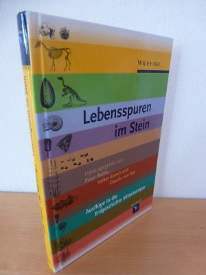 gebrauchtes Buch – Rothe, Peter; Storch – Lebensspuren im Stein - Ausflüge in die Erdgeschichte Mitteleuropas