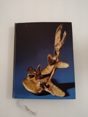 gebrauchtes Buch – VERBORGENE SCHÄTZE