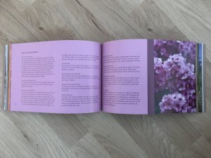 gebrauchtes Buch – Ilga Eger – Ein Jahr im Garten: