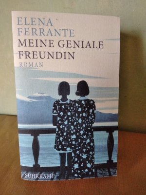 gebrauchtes Buch – Elena Ferrante – Meine geniale Freundin - Kindheit und frühe Jugend. (Band 1 der Neapolitanischen Saga)